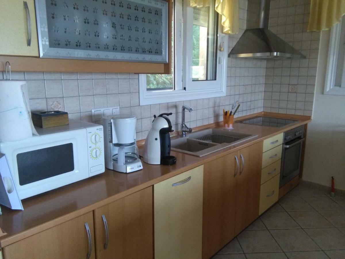 Martha'S Villa Nea Iraklitsa エクステリア 写真